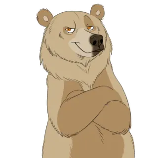 😏 98be3043 熊, 动物, 卡通, 站立, 交叉双臂 whatsapp sticker