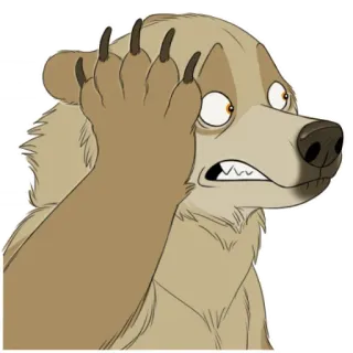 😟 b05521fc 熊, 卡通, 动物, 震惊, 害怕, 搞笑, 反应, 插图 whatsapp sticker