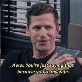 😏 d50af826 Jake Peralta Brooklyn Nine-Nine Aww. You're just saying that because you're my wife. Jake Peralta, Brooklyn Nine-Nine, Aww, Wife, Television show, Comedy whatsapp sticker