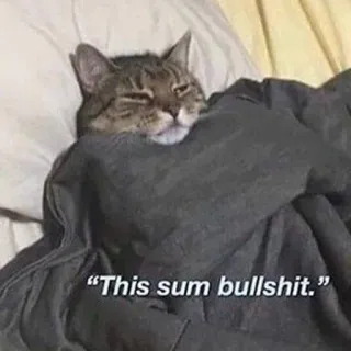 😐 10af9fd8 This sum bullshit. cat, meme, funny, offensive, humor, animal whatsapp sticker