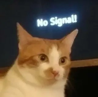 😴 503e0eec No Signal! cat, no signal, animal, meme, funny, television, error whatsapp sticker