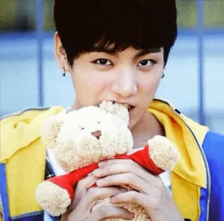 🐻 1223fab6 kpop, мужчина, плюшевый мишка, человек, лицо, портрет telegram sticker