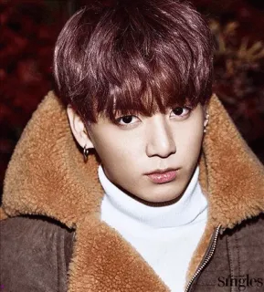 😒 45211d17 Jungkook Чонгук, BTS, K-pop, певец, музыка, знаменитость, портрет telegram sticker