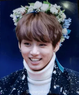 🌸 af4f9395 Snowpeach kpop, айдол, венок, портрет, человек, улыбка telegram sticker