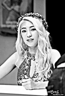 🐚 0838f25e 여보세요 femme, portrait, fille, jolie, couronne de fleurs, asiatique, cheveux blonds telegram sticker