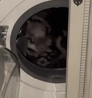 ❤️ 067703f7 telegram sticker