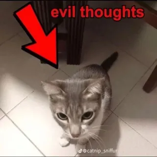 👿 1bbc411c evil thoughts 猫, 邪恶, 梗, 想法, 幽默 telegram sticker