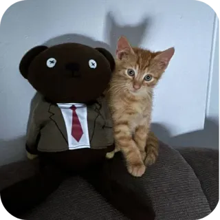 silly cars 2 @nikk_ily telegram stickers