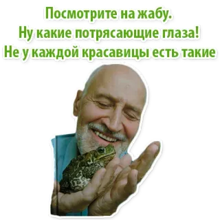 🐸 201898fd Посмотрите на жабу.
Ну какие потрясающие глаза!
Не у каждой красавицы есть такие กบ, ผู้ชาย, ตา, ความงาม, สัตว์, น่ารัก whatsapp sticker