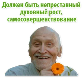 Animalist @stickersb2b telegram stickers