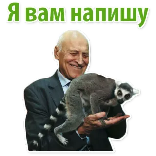 🦝 7099f35c Я вам напишу ผู้ชาย, ลีเมอร์, มีความสุข, สัตว์, ข้อความ, ยิ้ม, ตลก whatsapp sticker