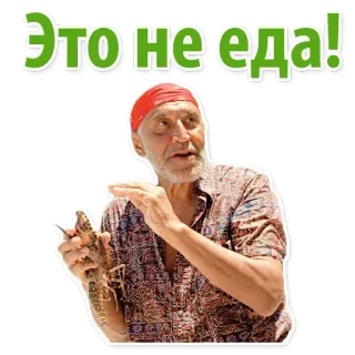 🐥 a6b5f62c Это не еда! ผู้ชาย, จิ้งจก, รัสเซีย, อาหาร, ไม่ใช่อาหาร, สัตว์ whatsapp sticker