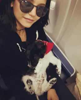 🥀 33fa22b2 Frau, Hund, Sonnenbrille, Flugzeug, Haustier, Reise, Tier telegram sticker