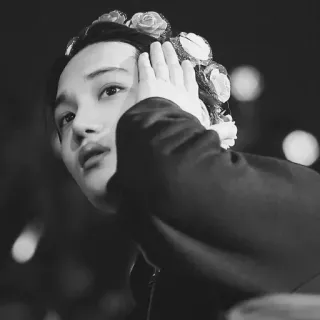 ▪ 8528c4bd telegram sticker