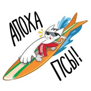🏄 0dc47bd5 АЛОХА ПСЫ!! gatto, surf, occhiali da sole, cartone animato, spiaggia telegram sticker