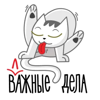 👅 18692d33 ВАЖНЫЕ ДЕЛА gatto, leccare, importante, affari, russo, importante, cose telegram sticker
