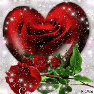 🎈 f2750fcd coeur, rose, amour, romance, rouge, fleur, Saint-Valentin whatsapp sticker