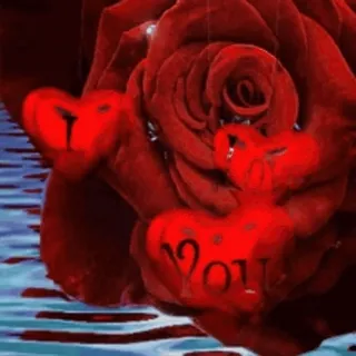 🎈 f96e5d0f YOU amour, rose, coeur, Saint-Valentin, romance, rouge whatsapp sticker