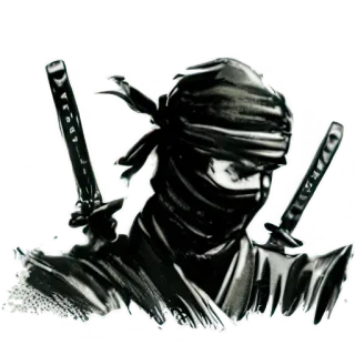 😤 13c33f4e Ninja, Pedang, Pejuang, Berkelahi, Senjata, Seni Bela Diri telegram sticker