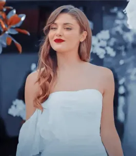 😌 11956fd2 telegram sticker