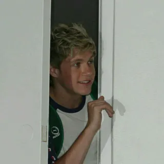 😬 95b4b4e7 Niall Horan 원 디렉션, 가수, 나일 호란, 유명인, 사람, 인물 사진 telegram sticker