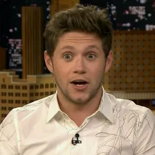 😲 976dc815 Niall Horan 나일 호란, 원 디렉션, 가수, 유명인 telegram sticker