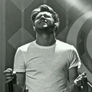 😧 ed6cb601 Niall Horan 나일 호란, 가수, 음악가, 원디렉션, 유명인, 인물 사진 telegram sticker