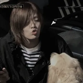 🌋 8d2430e9 telegram sticker