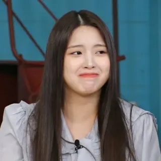 🦔 3323424d telegram sticker