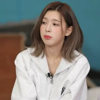 🦔 6ee41af9 telegram sticker