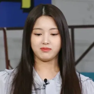 🦔 74b30e7d telegram sticker