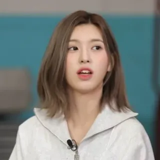 🦔 82e6a6b2 telegram sticker