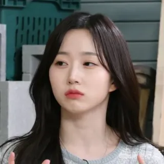 🦔 bf45736f telegram sticker