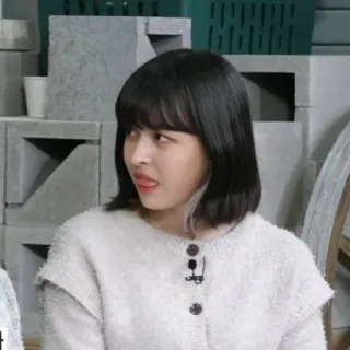 🦔 c5bbe198 telegram sticker