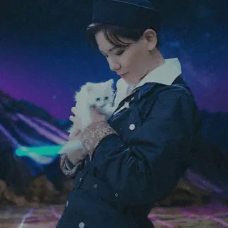 ✨ 077d98a3 mèo, mèo con, người, cầm, động vật, thú cưng telegram sticker