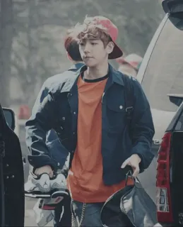 ✨ 80bd602d telegram sticker