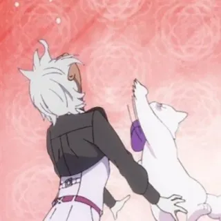 😫 db83dd08 anime, gatto, persona, cartone animato telegram sticker