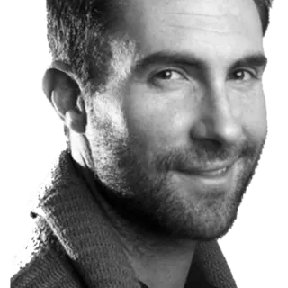 🙂 95ecf81e Adam Levine man, singer, celebrity, portrait, Adam Levine telegram sticker