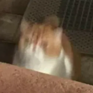 😛 8150871b telegram sticker