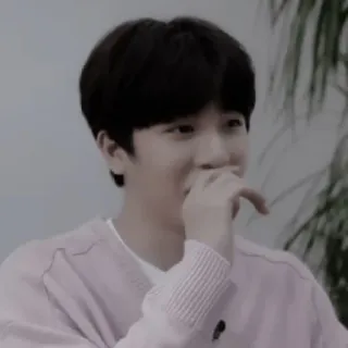 🐮 2c297d2b whatsapp sticker