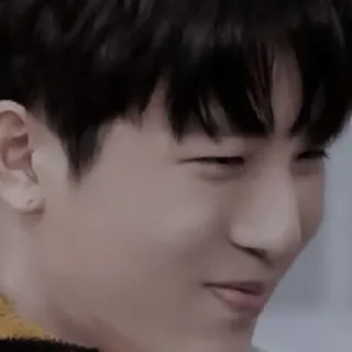 🐮 3f0550c8 whatsapp sticker