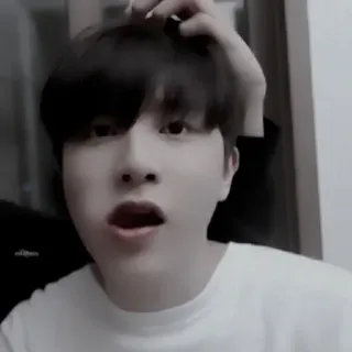 🐮 5f840eac whatsapp sticker