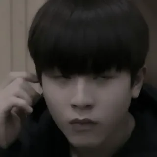 🐮 c6ef17be whatsapp sticker