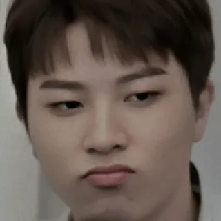 🐮 f5a906d7 whatsapp sticker