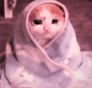 kucing.a jihan @soundsvcntage telegram stickers