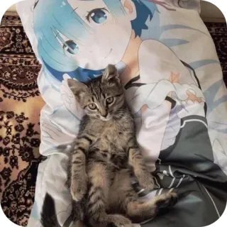 🐱 528ae1da Rem 猫, 小猫, 动漫, 枕头, 蕾姆, 可爱, 宠物 whatsapp sticker