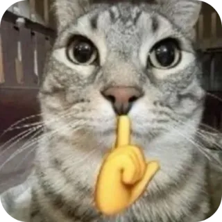 🤫 5ab24533 猫, 嘘, 动物, 手指, 安静, 表情符号 whatsapp sticker