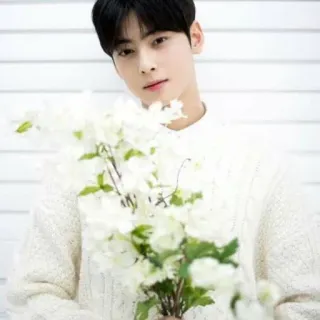 🐝 cc84ddd2 Cha Eun-woo Cha Eun-woo, ASTRO, kpop, idol, flowers, actor whatsapp sticker