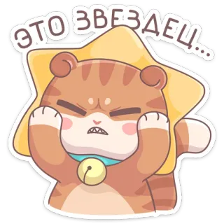 😣 4ca55e5d ЭТО ЗВЕЗДЕЦ... kucing, binatang, marah, rusia, bintang, kartun whatsapp sticker