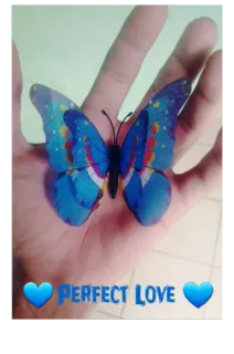 🦋 79a7a9e2 PERFECT LOVE Schmetterling, Liebe, Perfekt, Blau, Hand, Romantik, Schönheit, Natur telegram sticker